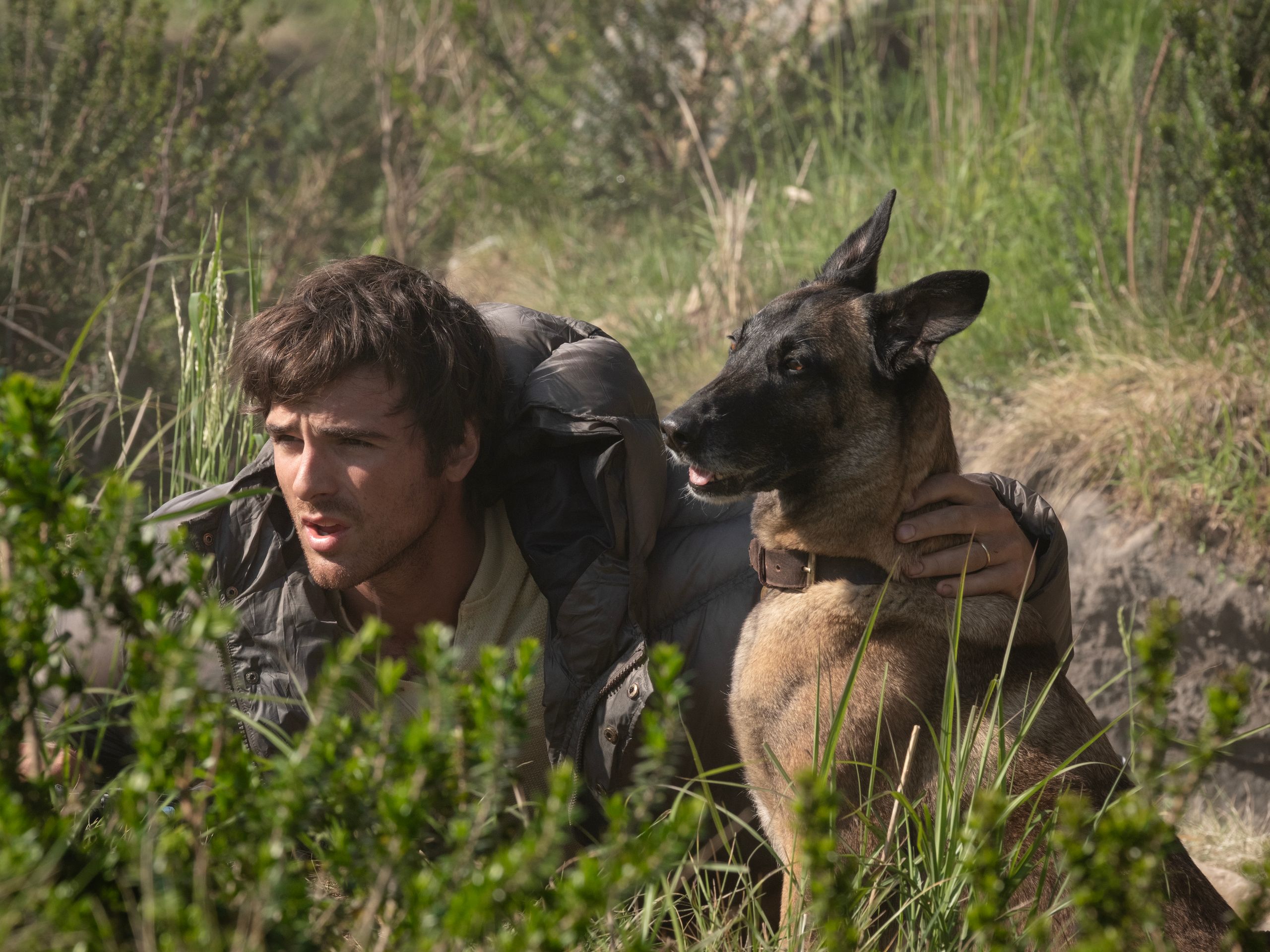 The Dog Stars film